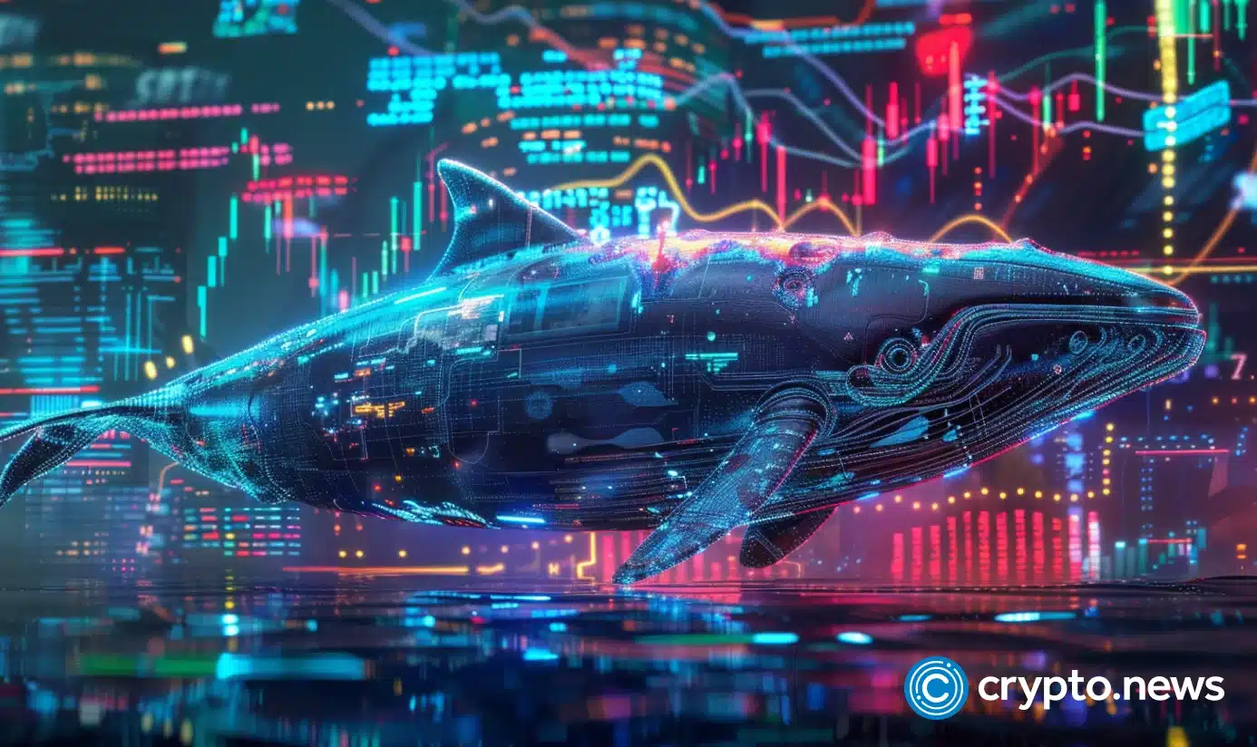 xyzver​​se（xyz）刚刚被一条长期的多边形鲸捕获